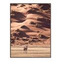 Picture of Tranquil Walk in the Valley _GroupedProduct_Rectangle_Portrait_Photography _GroupedProduct_Rectangle_Portrait_Canvas_Framed_