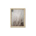 Picture of Elysian Grass _GroupedProduct_Rectangle_Portrait_Photography _GroupedProduct_Rectangle_Portrait_Framed_Matted_