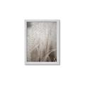 Picture of Elysian Grass _GroupedProduct_Rectangle_Portrait_Photography _GroupedProduct_Rectangle_Portrait_Framed_Matted_