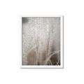 Picture of Elysian Grass _GroupedProduct_Rectangle_Portrait_Photography _GroupedProduct_Rectangle_Portrait_Framed_Matted_