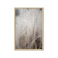 Picture of Elysian Grass _GroupedProduct_Rectangle_Portrait_Photography _GroupedProduct_Rectangle_Portrait_Framed_Matted_
