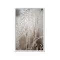 Picture of Elysian Grass _GroupedProduct_Rectangle_Portrait_Photography _GroupedProduct_Rectangle_Portrait_Framed_Matted_