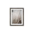 Picture of Elysian Grass _GroupedProduct_Rectangle_Portrait_Photography _GroupedProduct_Rectangle_Portrait_Framed_Matted_
