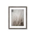 Picture of Elysian Grass _GroupedProduct_Rectangle_Portrait_Photography _GroupedProduct_Rectangle_Portrait_Framed_Matted_