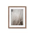 Picture of Elysian Grass _GroupedProduct_Rectangle_Portrait_Photography _GroupedProduct_Rectangle_Portrait_Framed_Matted_
