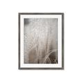 Picture of Elysian Grass _GroupedProduct_Rectangle_Portrait_Photography _GroupedProduct_Rectangle_Portrait_Framed_Matted_