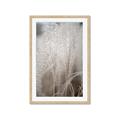 Picture of Elysian Grass _GroupedProduct_Rectangle_Portrait_Photography _GroupedProduct_Rectangle_Portrait_Framed_Matted_