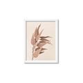 Picture of Dried Eucalyptus Blossom _GroupedProduct_Rectangle_Portrait_Photography _GroupedProduct_Rectangle_Portrait_Framed_Matted_