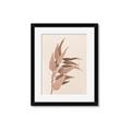 Picture of Dried Eucalyptus Blossom _GroupedProduct_Rectangle_Portrait_Photography _GroupedProduct_Rectangle_Portrait_Framed_Matted_