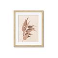 Picture of Dried Eucalyptus Blossom _GroupedProduct_Rectangle_Portrait_Photography _GroupedProduct_Rectangle_Portrait_Framed_Matted_