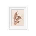 Picture of Dried Eucalyptus Blossom _GroupedProduct_Rectangle_Portrait_Photography _GroupedProduct_Rectangle_Portrait_Framed_Matted_
