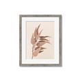 Picture of Dried Eucalyptus Blossom _GroupedProduct_Rectangle_Portrait_Photography _GroupedProduct_Rectangle_Portrait_Framed_Matted_