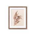 Picture of Dried Eucalyptus Blossom _GroupedProduct_Rectangle_Portrait_Photography _GroupedProduct_Rectangle_Portrait_Framed_Matted_