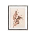 Picture of Dried Eucalyptus Blossom _GroupedProduct_Rectangle_Portrait_Photography _GroupedProduct_Rectangle_Portrait_Framed_Matted_