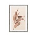 Picture of Dried Eucalyptus Blossom _GroupedProduct_Rectangle_Portrait_Photography _GroupedProduct_Rectangle_Portrait_Framed_Matted_