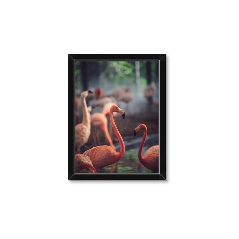 Picture of Flamingo _GroupedProduct_Rectangle_Portrait_Photography _GroupedProduct_Rectangle_Portrait_Framed_Matted_