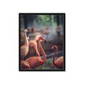 Picture of Flamingo _GroupedProduct_Rectangle_Portrait_Photography _GroupedProduct_Rectangle_Portrait_Framed_Matted_