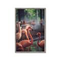 Picture of Flamingo _GroupedProduct_Rectangle_Portrait_Photography _GroupedProduct_Rectangle_Portrait_Framed_Matted_
