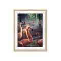 Picture of Flamingo _GroupedProduct_Rectangle_Portrait_Photography _GroupedProduct_Rectangle_Portrait_Framed_Matted_