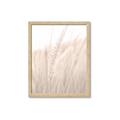 Picture of Rhapsody of Grass Blades _GroupedProduct_Rectangle_Portrait_Photography _GroupedProduct_Rectangle_Portrait_Framed_Matted_