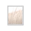 Picture of Rhapsody of Grass Blades _GroupedProduct_Rectangle_Portrait_Photography _GroupedProduct_Rectangle_Portrait_Framed_Matted_
