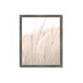 Picture of Rhapsody of Grass Blades _GroupedProduct_Rectangle_Portrait_Photography _GroupedProduct_Rectangle_Portrait_Framed_Matted_