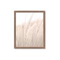 Picture of Rhapsody of Grass Blades _GroupedProduct_Rectangle_Portrait_Photography _GroupedProduct_Rectangle_Portrait_Framed_Matted_