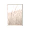 Picture of Rhapsody of Grass Blades _GroupedProduct_Rectangle_Portrait_Photography _GroupedProduct_Rectangle_Portrait_Framed_Matted_