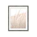 Picture of Rhapsody of Grass Blades _GroupedProduct_Rectangle_Portrait_Photography _GroupedProduct_Rectangle_Portrait_Framed_Matted_