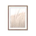 Picture of Rhapsody of Grass Blades _GroupedProduct_Rectangle_Portrait_Photography _GroupedProduct_Rectangle_Portrait_Framed_Matted_