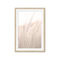 Picture of Rhapsody of Grass Blades _GroupedProduct_Rectangle_Portrait_Photography _GroupedProduct_Rectangle_Portrait_Framed_Matted_