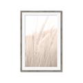 Picture of Rhapsody of Grass Blades _GroupedProduct_Rectangle_Portrait_Photography _GroupedProduct_Rectangle_Portrait_Framed_Matted_
