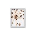 Picture of Ethereal Flower _GroupedProduct_Rectangle_Portrait_Photography _GroupedProduct_Rectangle_Portrait_Framed_Matted_