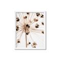 Picture of Ethereal Flower _GroupedProduct_Rectangle_Portrait_Photography _GroupedProduct_Rectangle_Portrait_Framed_Matted_