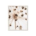 Picture of Ethereal Flower _GroupedProduct_Rectangle_Portrait_Photography _GroupedProduct_Rectangle_Portrait_Framed_Matted_