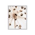 Picture of Ethereal Flower _GroupedProduct_Rectangle_Portrait_Photography _GroupedProduct_Rectangle_Portrait_Framed_Matted_