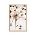 Picture of Ethereal Flower _GroupedProduct_Rectangle_Portrait_Photography _GroupedProduct_Rectangle_Portrait_Framed_Matted_