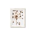 Picture of Ethereal Flower _GroupedProduct_Rectangle_Portrait_Photography _GroupedProduct_Rectangle_Portrait_Framed_Matted_