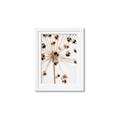 Picture of Ethereal Flower _GroupedProduct_Rectangle_Portrait_Photography _GroupedProduct_Rectangle_Portrait_Framed_Matted_