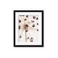 Picture of Ethereal Flower _GroupedProduct_Rectangle_Portrait_Photography _GroupedProduct_Rectangle_Portrait_Framed_Matted_