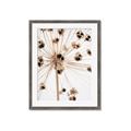 Picture of Ethereal Flower _GroupedProduct_Rectangle_Portrait_Photography _GroupedProduct_Rectangle_Portrait_Framed_Matted_