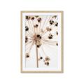 Picture of Ethereal Flower _GroupedProduct_Rectangle_Portrait_Photography _GroupedProduct_Rectangle_Portrait_Framed_Matted_