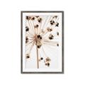 Picture of Ethereal Flower _GroupedProduct_Rectangle_Portrait_Photography _GroupedProduct_Rectangle_Portrait_Framed_Matted_