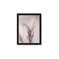 Picture of Enchanted Pampas Grass _GroupedProduct_Rectangle_Portrait_Photography _GroupedProduct_Rectangle_Portrait_Framed_Matted_