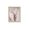Picture of Enchanted Pampas Grass _GroupedProduct_Rectangle_Portrait_Photography _GroupedProduct_Rectangle_Portrait_Framed_Matted_