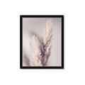 Picture of Enchanted Pampas Grass _GroupedProduct_Rectangle_Portrait_Photography _GroupedProduct_Rectangle_Portrait_Framed_Matted_
