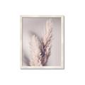 Picture of Enchanted Pampas Grass _GroupedProduct_Rectangle_Portrait_Photography _GroupedProduct_Rectangle_Portrait_Framed_Matted_
