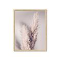 Picture of Enchanted Pampas Grass _GroupedProduct_Rectangle_Portrait_Photography _GroupedProduct_Rectangle_Portrait_Framed_Matted_