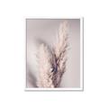 Picture of Enchanted Pampas Grass _GroupedProduct_Rectangle_Portrait_Photography _GroupedProduct_Rectangle_Portrait_Framed_Matted_