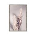 Picture of Enchanted Pampas Grass _GroupedProduct_Rectangle_Portrait_Photography _GroupedProduct_Rectangle_Portrait_Framed_Matted_